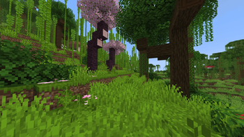 New Jungle