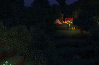 Creeper Woods Biome at Night