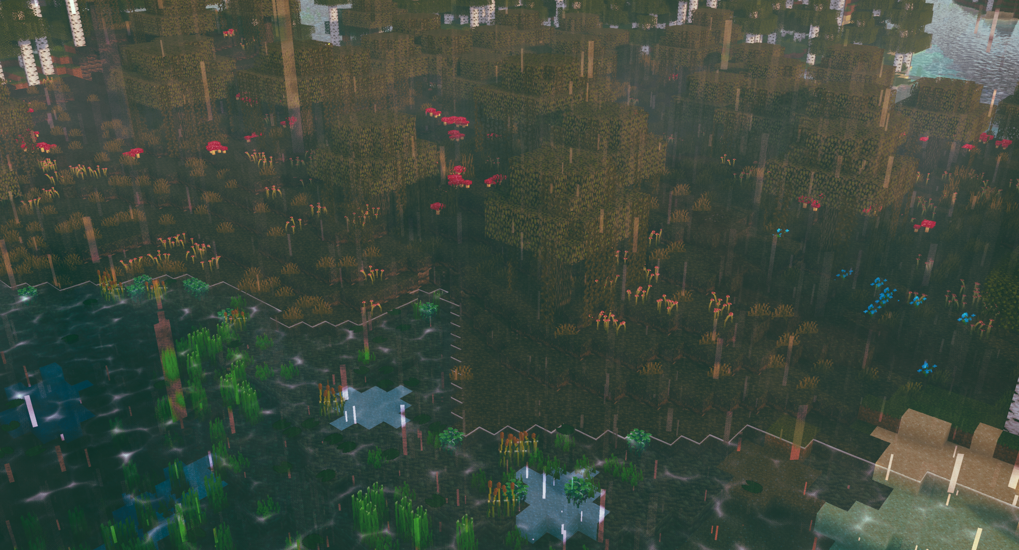 Soggy Swamp Biome
