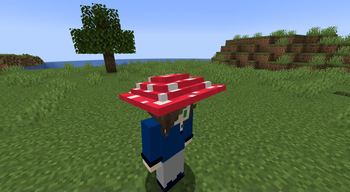 Mushroom Hat