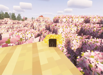 On the ground (Beta)