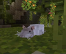 Kai's Rats (Resourcepack)