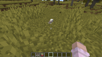 Rat on an invisible armor stand