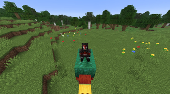 3rd person POV