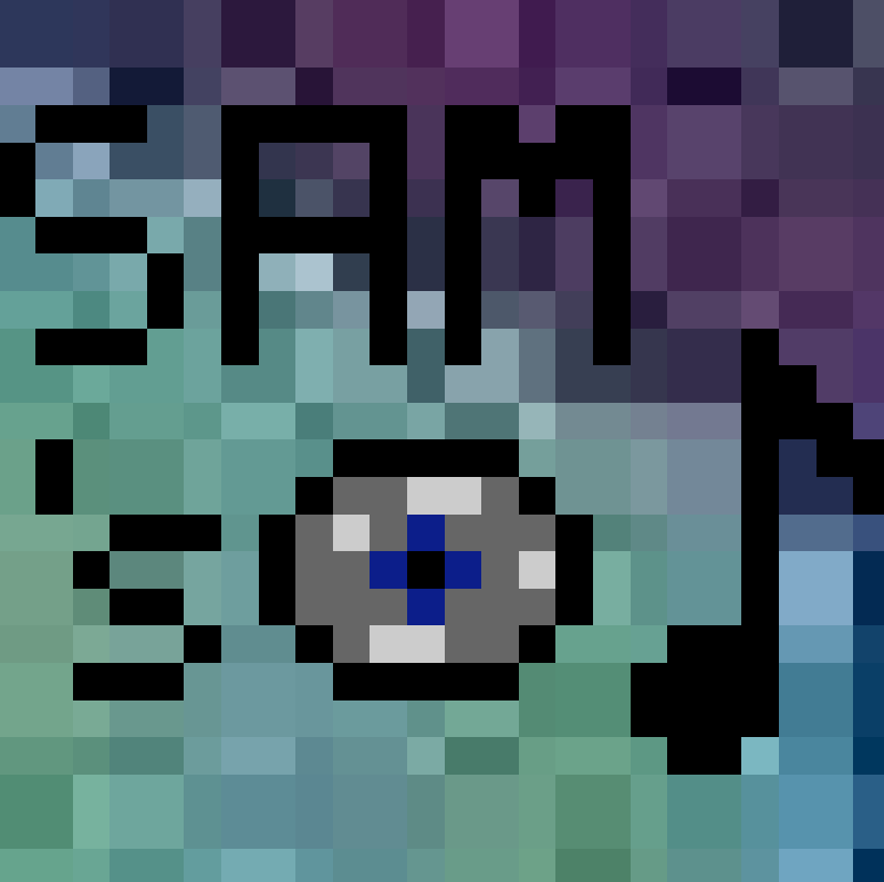 Sam's Music Discs