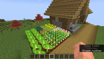 New crops in the mod