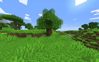 texture pack