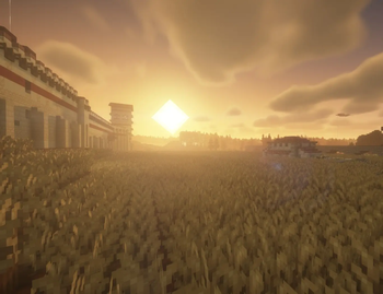 Field