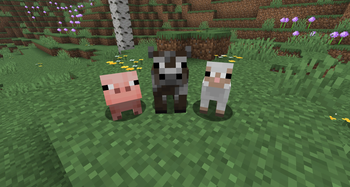 Pig Temperate Baby, Cow Temperate Baby and Baby White Sheep