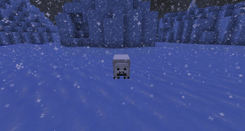 Polarbear Baby