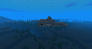 Dolphin Baby