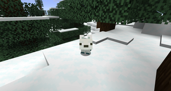 Baby Snow Fox