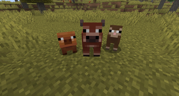 Pig Warm Baby, Cow Warm Baby and Baby Brown Sheep