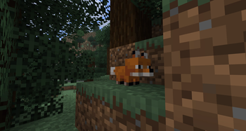 Fox Baby
