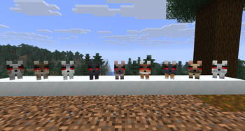 Angry Baby Wolves