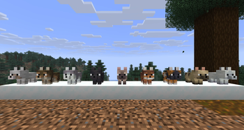 Baby Wolves