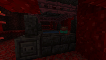 Nether Well