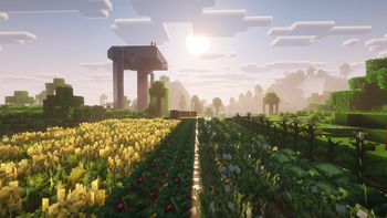A scenic shot, but of our crops