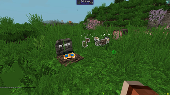 Glowing items