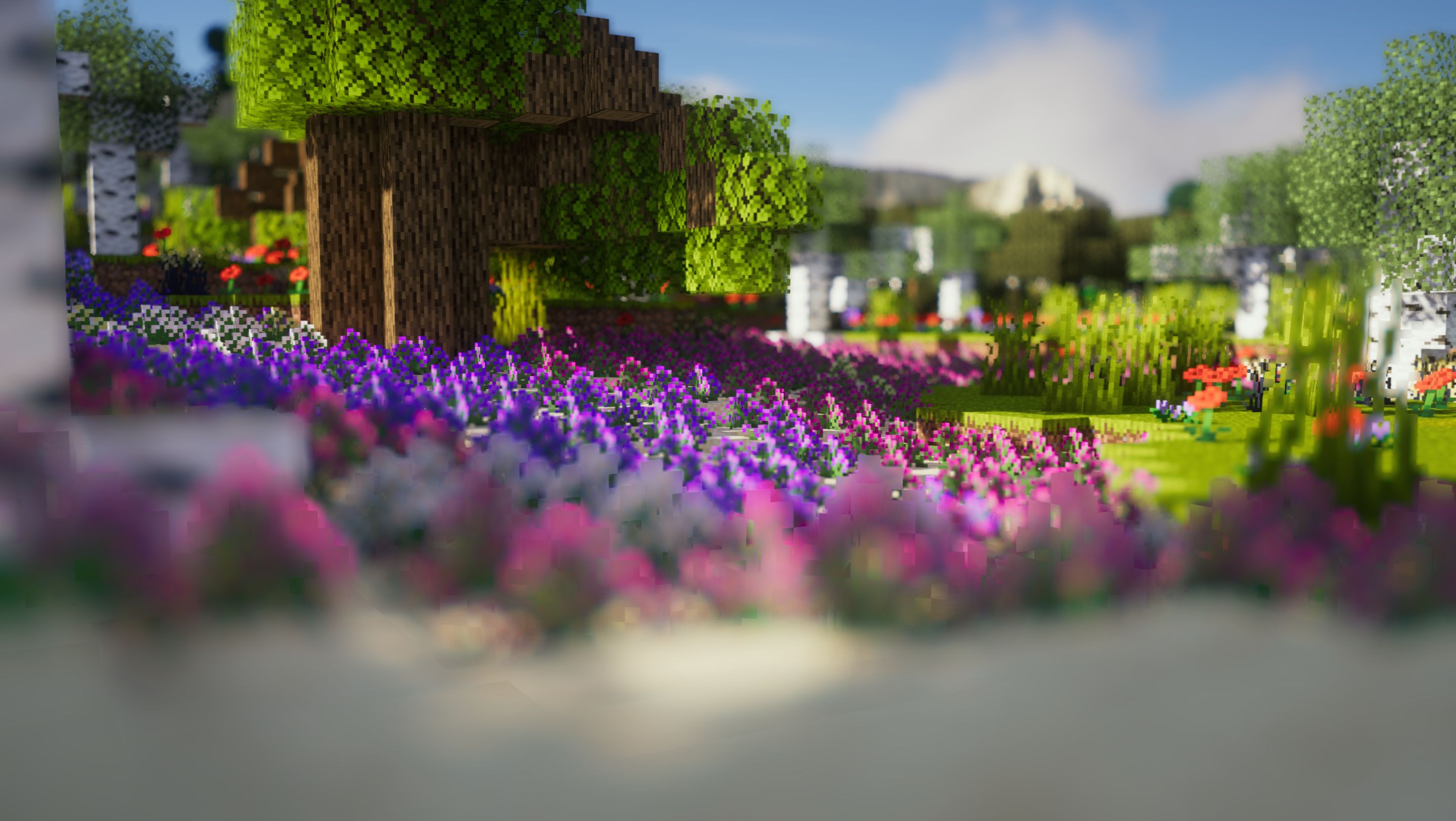 wildnature mod cool minecraft biomes