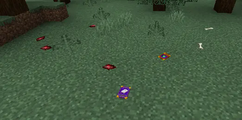 Debris