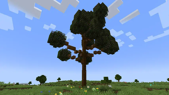 The Haimeviska tree