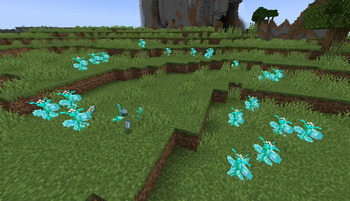 The fairy ring