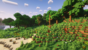 Forest