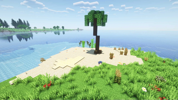 Beach