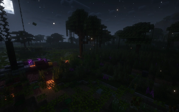 swamp