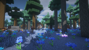 A Forest 
