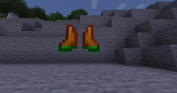 Carrot Boots