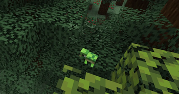 Baby Turtle (26.1 Snapshot 5+)