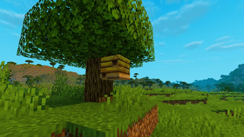 Banner