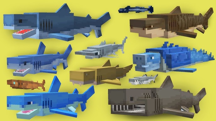 Ben's Sharks