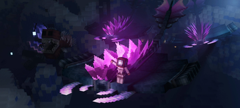 Aquamirae