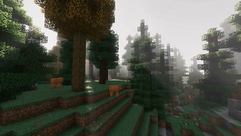 Forest Variations