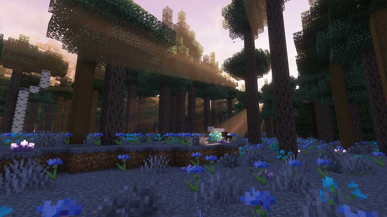 Magic Biomes