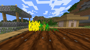 The wheat