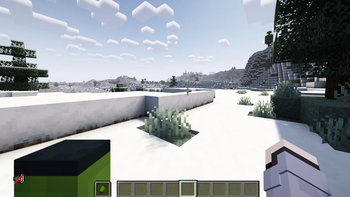 First Person View