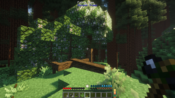 First tree