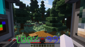 First person view
