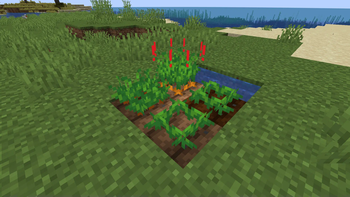 Crops