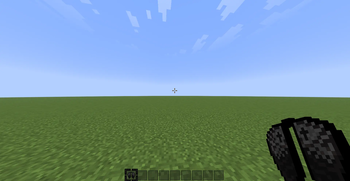 elytra