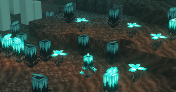 Soul Plants