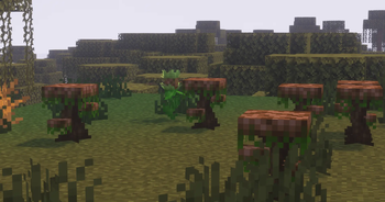 Bogged Plants