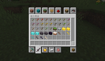 Cases and Keys
