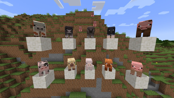 All Pigs
