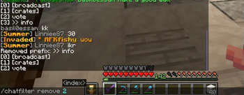Chat Filter Remove Command