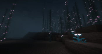 Moonshade Kelp Forest